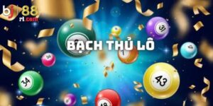 Bạch thủ lô là gì?