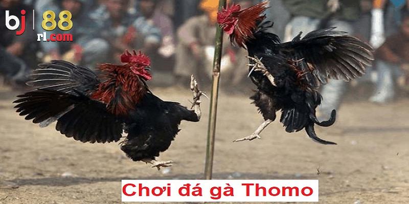 Các hình thức đá gà BJ88 được ưa chuộng nhất Các hình thức đá gà BJ88 được ưa chuộng nhất